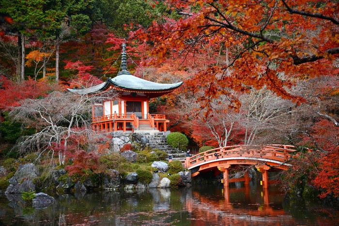 Japanese temple and bridge in autumn