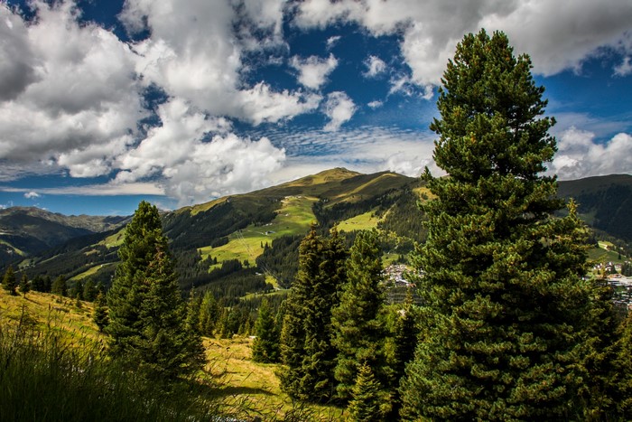 Koenigsleiten, Austria mountain landscape with pine trees