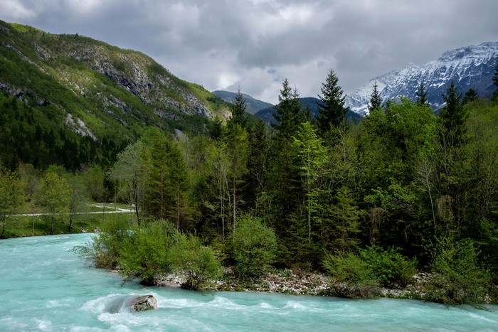 Turquoise river flowing through a forest with mountains in the background