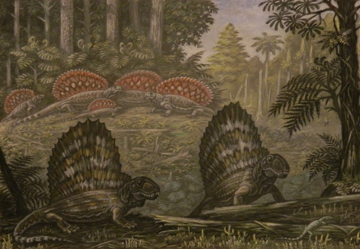 Dimetrodon and Edaphosaurus in prehistoric forest painting