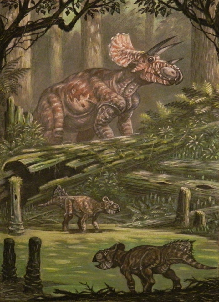 Triceratops and Leptoceratops in a prehistoric forest