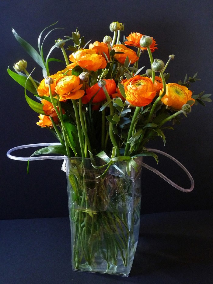 Orange Ranunculus flowers in a clear vase