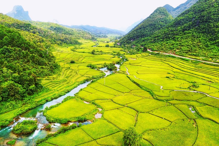 Rice fields and river in Bac Can, Vietnam