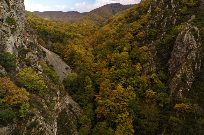 Autumn forest in a rocky mountain valley
