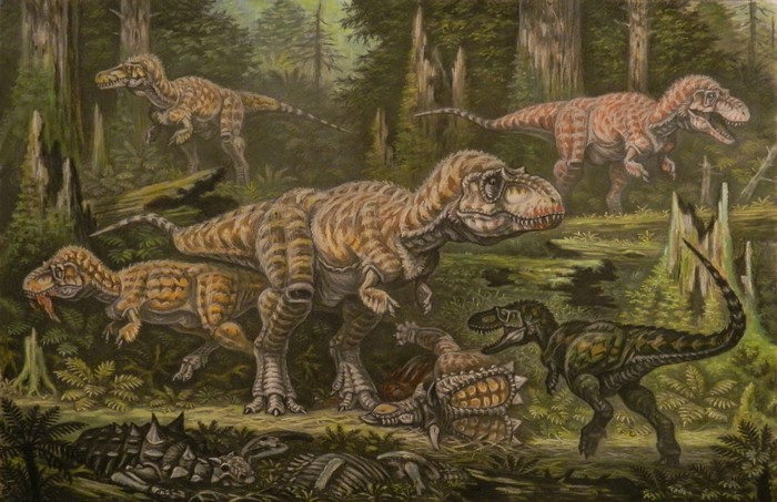 Tyrannosauroidea dinosaurs hunting in a forest