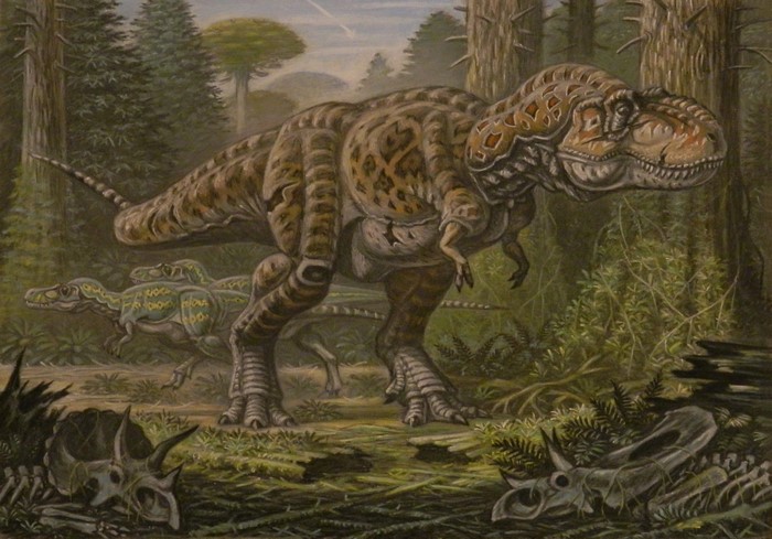 Nanotyrannus lancensis and Tyrannosaurus rex in forest
