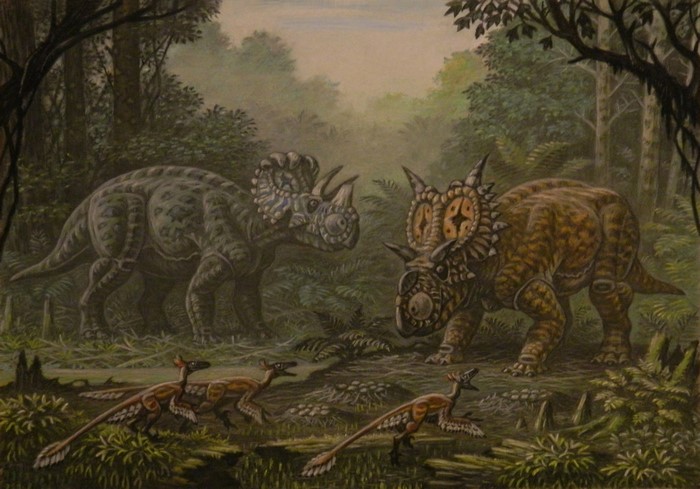 Wendiceratops and Xenoceratops dinosaurs in a forest