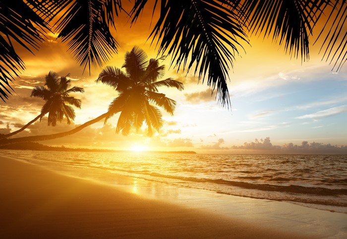 Golden Sunset on Tropical Beach with Palm Trees