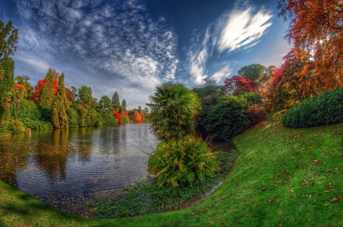 Autumn trees reflected in Sheffield Lake Park