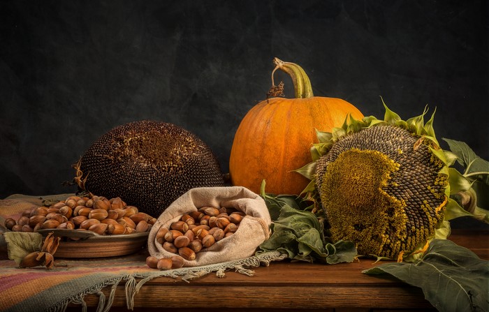 Pumpkin and Sunflowers with Nuts