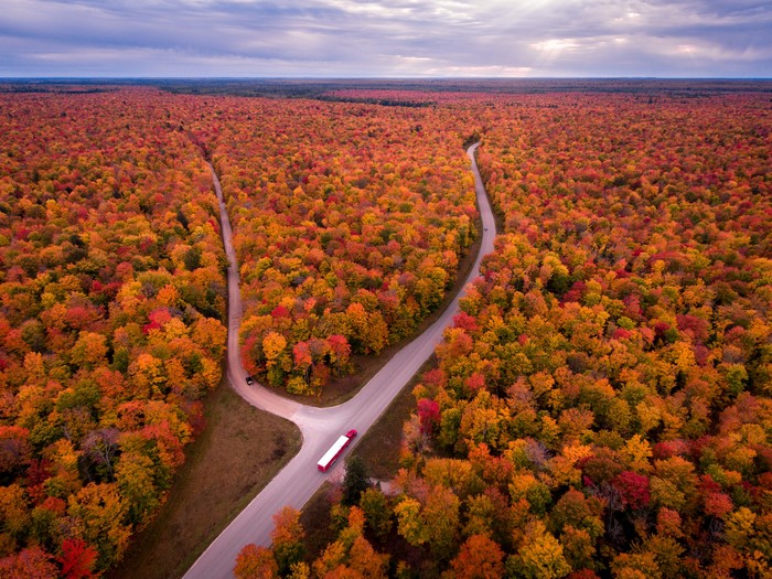 Aerial view of a road splitting through autumn forest in Michigan