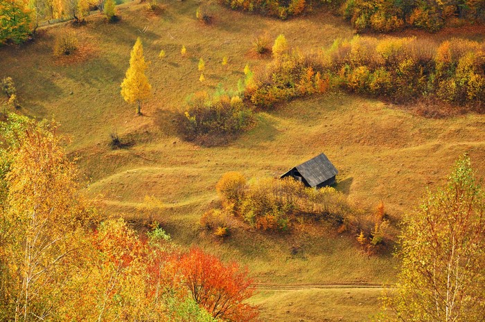 Autumn landscape with a small wooden cabin