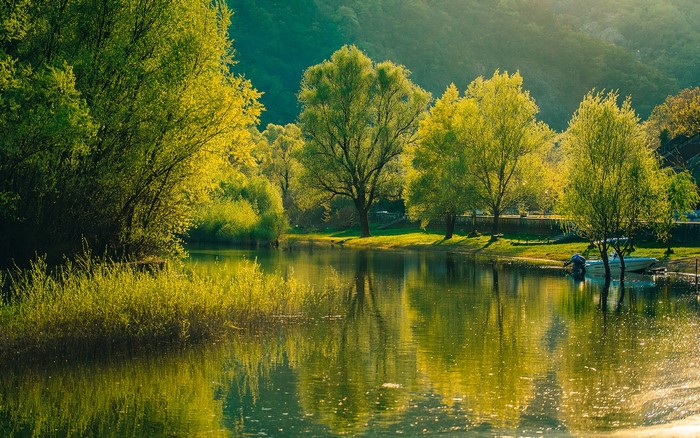 River Crnojevica, Montenegro, with trees and reflections