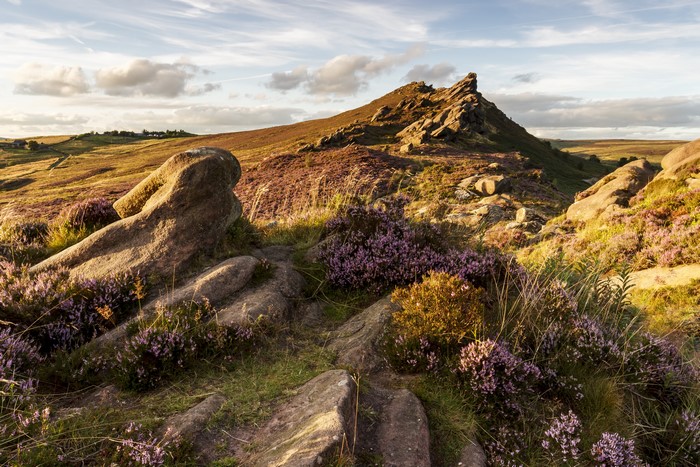 Ramshaw Rocks Staffordshire United Kingdom Stones Hill