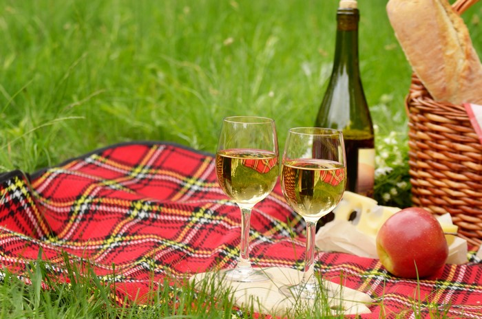 Picnic with Wine, Cheese, Bread, and Apple