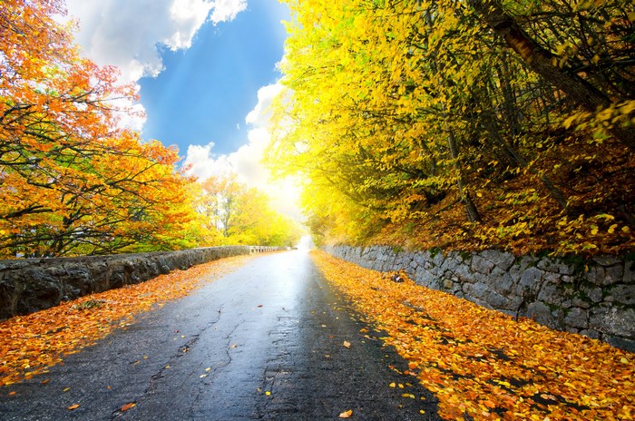 Road lined with autumn foliage and stone wall