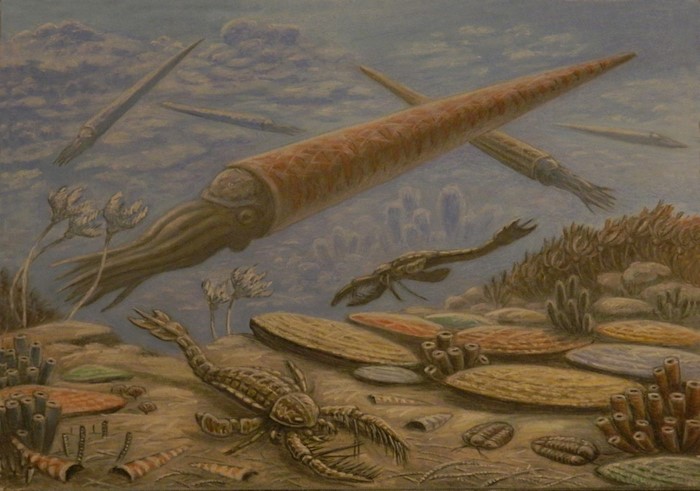 Underwater scene with ancient marine life and cephalopods