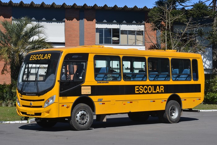 Yellow Mascarello Gran Midi Escolar Bus