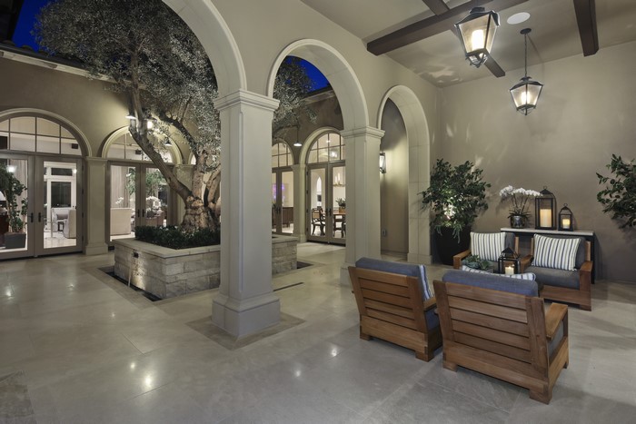Courtyard with seating and olive tree