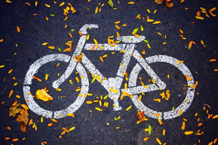 Bicycle lane symbol on asphalt with fallen leaves