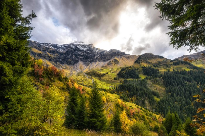 Mountains in Autumn with Forests in Switzerland