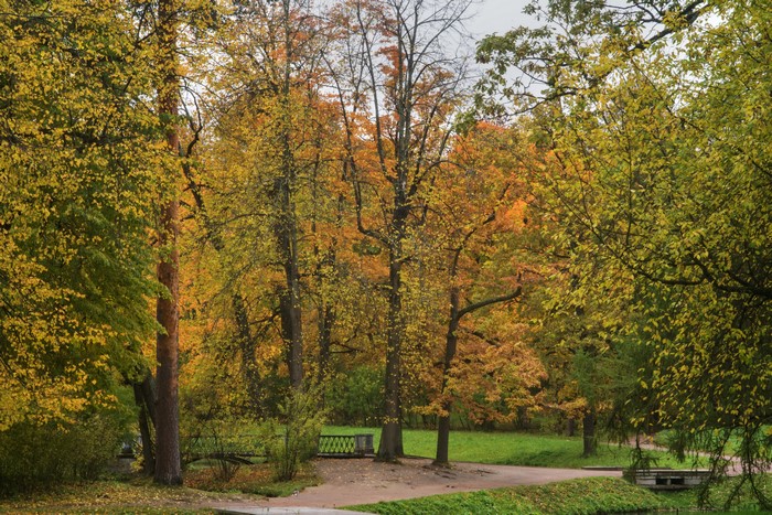 Autumn park in Pushkin, Russia