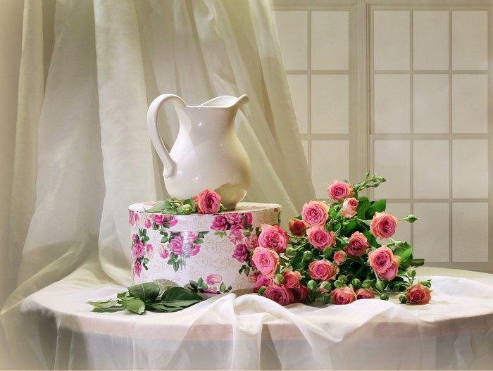 Still-life with pink roses and a white pitcher