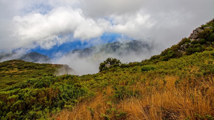 Foggy Mountainside with Greenery and Clouds in Madeira