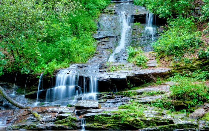 Waterfall cascading over mossy rocks in a forest
