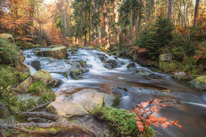 Autumn forest stream with rocks and trees, Germany