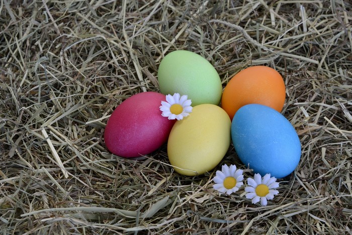 Easter eggs in hay with daisies