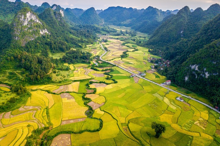 Rice fields and mountains in Cao Bang, Vietnam