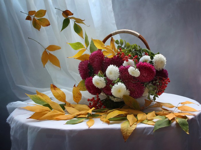 Still-life with asters and autumn leaves in a basket