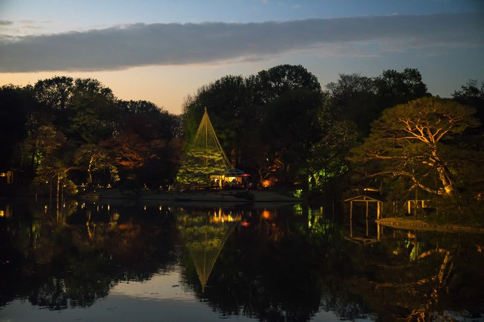 Illuminated Japanese garden with pond at dusk