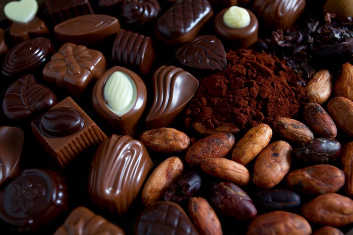 Assortment of chocolates, cocoa powder, and cocoa beans