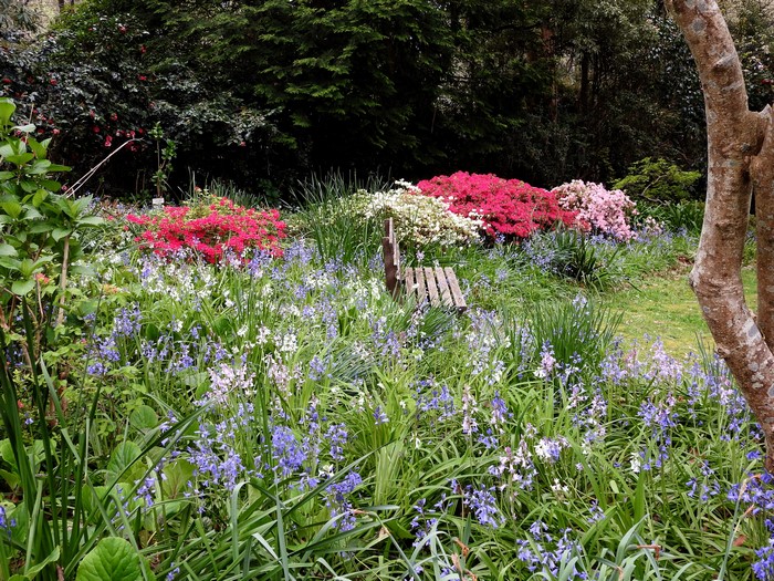 George Tindale Memorial Garden Bench with Flowers