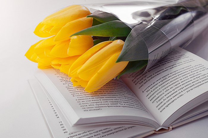 Yellow tulips on an open book