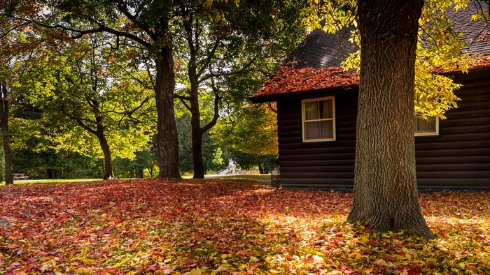 Autumn scene with a cabin and fallen leaves