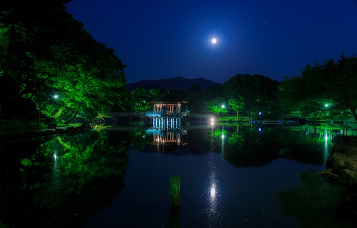 Pagoda on a pond at night under the moon