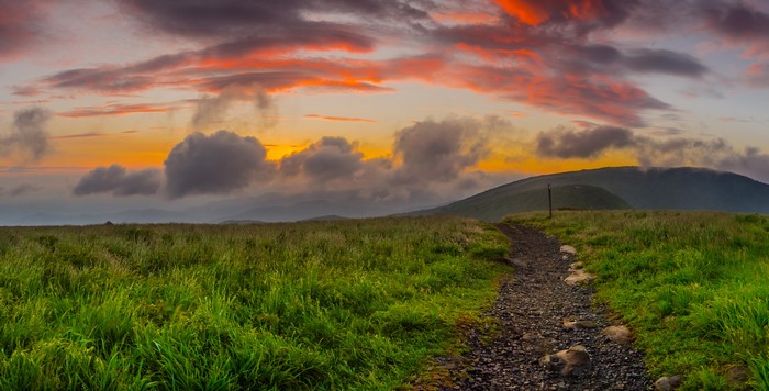 Sunrise over grassy hills with a trail in North Carolina