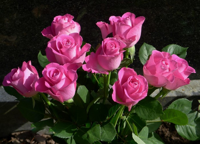 Bouquet of Pink Roses