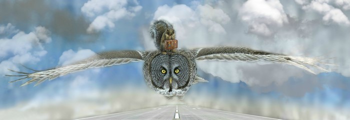 Owl flying with a squirrel and suitcase