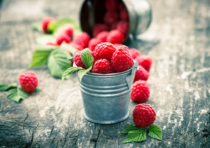 Raspberries in a Bucket