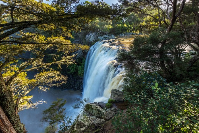 Rainbow Falls Kerikeri New Zealand Waterfall