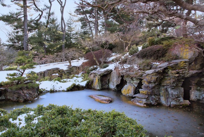Brooklyn Botanic Garden in Snow