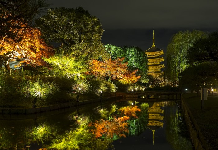 Autumn Night Reflection at Kyoto Park 4K