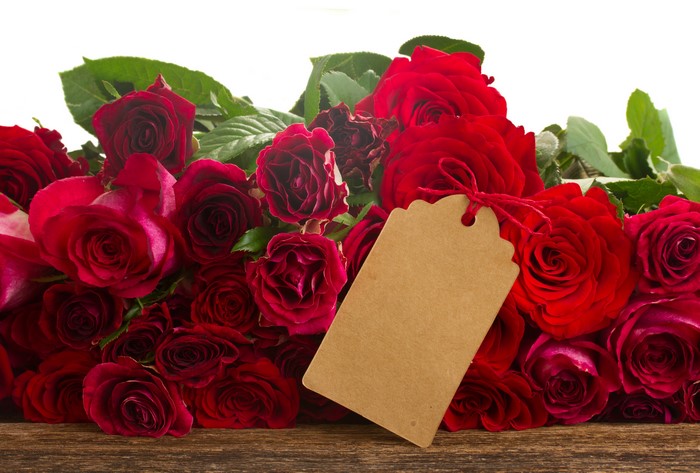 Red Roses with a Greeting Card