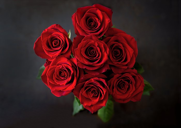 Red Roses Bouquet