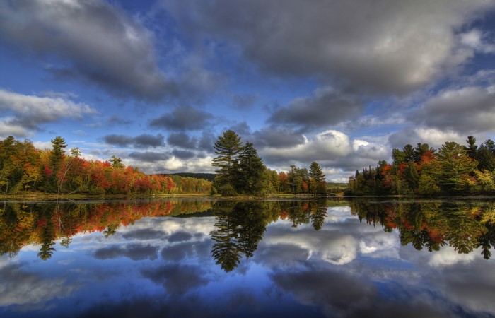 Autumn forest reflected in a calm lake under a cloudy sky