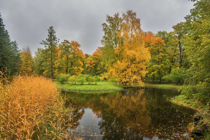 Autumn park with pond and trees in Pushkin, Russia